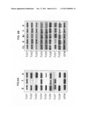 Diagnosis and treatment of Trypanosoma cruzi infection and chagas disease diagram and image