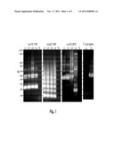 COMPOUNDS AND METHODS FOR DIAGNOSIS AND TREATMENT OF LEISHMANIASIS diagram and image