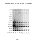 NOVEL SURFACE EXPOSED IMMUNOGLOBULIN D-BINDING PROTEIN FROM MORAXELLA     CATARRHALIS diagram and image