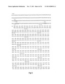 NOVEL SURFACE EXPOSED IMMUNOGLOBULIN D-BINDING PROTEIN FROM MORAXELLA     CATARRHALIS diagram and image