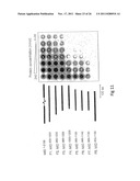 NOVEL SURFACE EXPOSED IMMUNOGLOBULIN D-BINDING PROTEIN FROM MORAXELLA     CATARRHALIS diagram and image