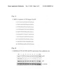 SIRNA OF NF-KB P105 FOR INHIBITING CELL PROLIFERATION AND MIGRATION AND A     COMPOSITION COMPRISING SAME diagram and image