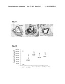 COMPOSITION COMPRISING BAMBOO EXTRACT AND THE COMPOUNDS ISOLATED THEREFROM     SHOWING ACTIVITY FOR THE TREATMENT AND PREVENTION OF INFLAMMATORY AND     BLOOD CIRCULATION DISEASE diagram and image