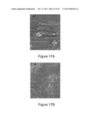 LAYER-BY-LAYER FABRICATION METHOD OF SPRAYED NANOPAPER diagram and image