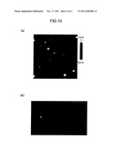 POLYMER THIN FILM, PATTERNED MEDIA, PRODUCTION METHODS THEREOF, AND     SURFACE MODIFYING AGENTS diagram and image