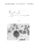 METHOD OF PREPARING POLYANILINE FILMS AND HIGHLY SELF-ORIENTED FILMS     OBTAINED diagram and image