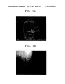 MESOPOROUS CARBON COMPOSITE CONTAINING CARBON NANOTUBE diagram and image