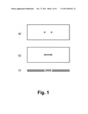 FUNCTIONALIZED MICROFLUIDIC DEVICE FOR IMMUNOFLUORESCENCE diagram and image