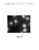 FUNCTIONALIZED MICROFLUIDIC DEVICE FOR IMMUNOFLUORESCENCE diagram and image