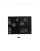 FUNCTIONALIZED MICROFLUIDIC DEVICE FOR IMMUNOFLUORESCENCE diagram and image