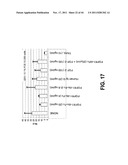 COMPOSITIONS AND METHODS OF TREATING DISEASE WITH FGFR FUSION PROTEINS diagram and image