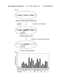 Novel Zinc Finger Nuclease and Uses Thereof diagram and image