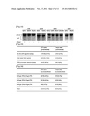 Novel Zinc Finger Nuclease and Uses Thereof diagram and image