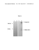 BACILLUS BASED DELIVERY SYSTEM AND METHODS OF USE diagram and image