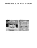 BACILLUS BASED DELIVERY SYSTEM AND METHODS OF USE diagram and image