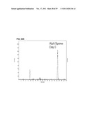 BACILLUS BASED DELIVERY SYSTEM AND METHODS OF USE diagram and image