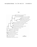 Novel Fungal Laccases and Uses Thereof diagram and image