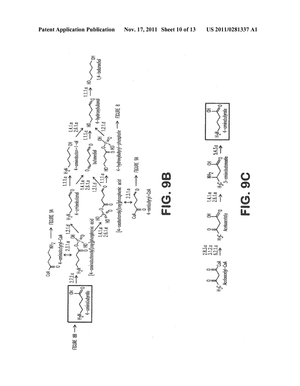 MICROORGANISMS FOR THE PRODUCTION OF 1,4-BUTANEDIOL - diagram, schematic, and image 11