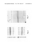 Linear donor constructs for targeted integration diagram and image