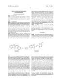 NOVEL LOWER COST REUSABLE POLYMER BINDER diagram and image