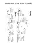 MULTIFUNCTION AUTHENTICATION SYSTEMS diagram and image