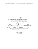 SYSTEMS AND METHODS FOR PROVIDING AUDIO AND VISUAL CUES VIA A PORTABLE     ELECTRONIC DEVICE diagram and image