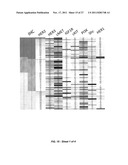 DRUG SELECTION FOR GASTRIC CANCER THERAPY USING ANTIBODY-BASED ARRAYS diagram and image