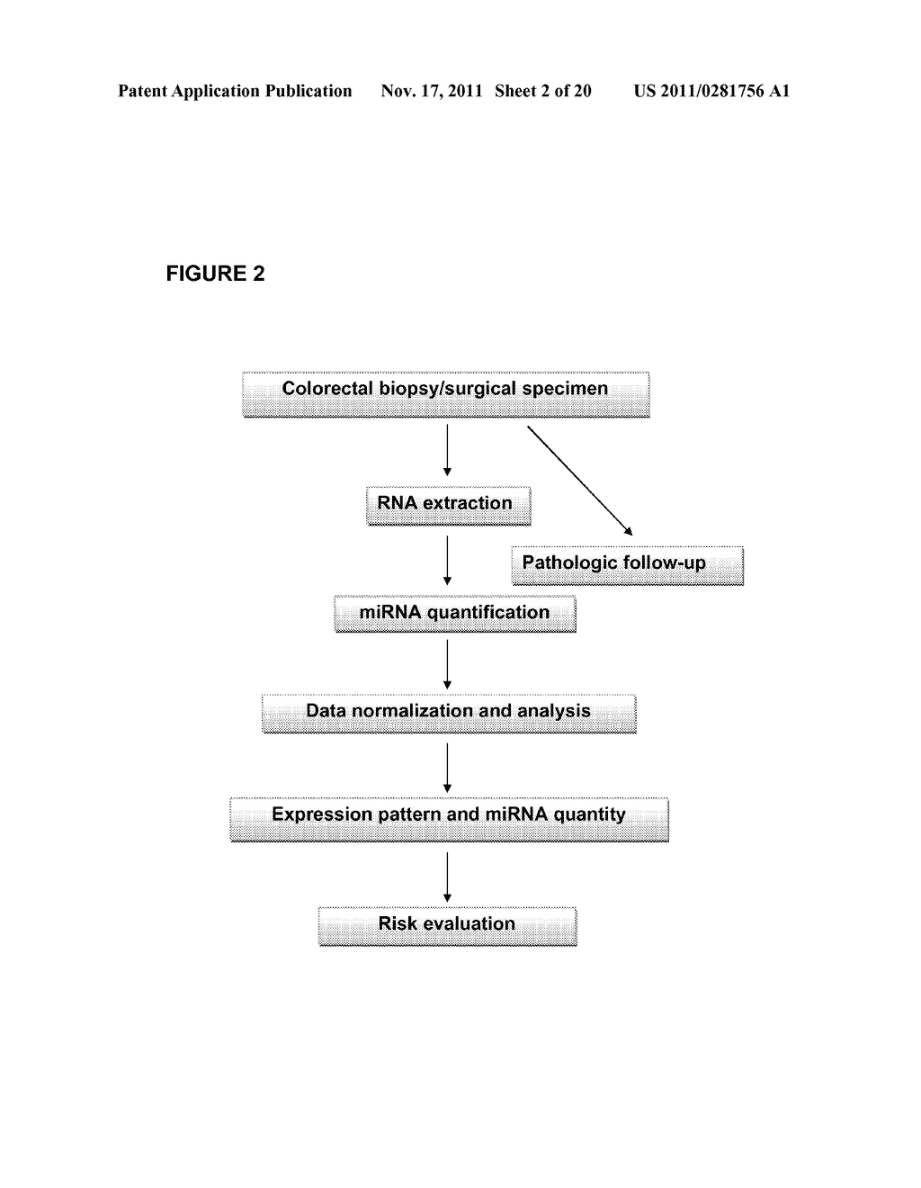 COMPOSITIONS AND METHODS FOR MICRO-RNA EXPRESSION PROFILING OF COLORECTAL     CANCER - diagram, schematic, and image 03