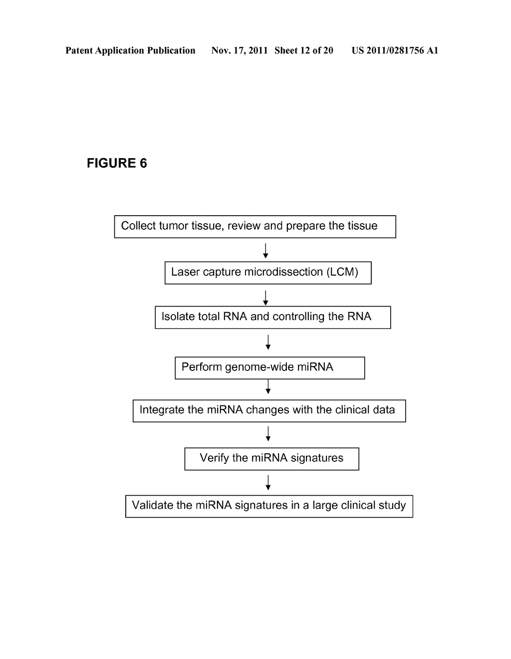 COMPOSITIONS AND METHODS FOR MICRO-RNA EXPRESSION PROFILING OF COLORECTAL     CANCER - diagram, schematic, and image 13