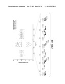 METHOD FOR DIAGNOSING AUTISM SPECTRUM DISORDER diagram and image