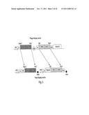 MULTI-CHAIN EUKARYOTIC DISPLAY VECTORS AND USES THEREOF diagram and image