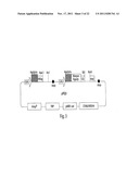 MULTI-CHAIN EUKARYOTIC DISPLAY VECTORS AND USES THEREOF diagram and image