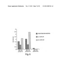 MULTI-CHAIN EUKARYOTIC DISPLAY VECTORS AND USES THEREOF diagram and image