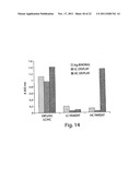 MULTI-CHAIN EUKARYOTIC DISPLAY VECTORS AND USES THEREOF diagram and image