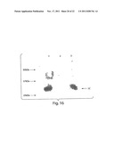 MULTI-CHAIN EUKARYOTIC DISPLAY VECTORS AND USES THEREOF diagram and image