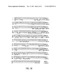 Vascular Endothelial Growth Factor D (VEGF-D) Antibodies and Vectors, and     Methods of Uses diagram and image