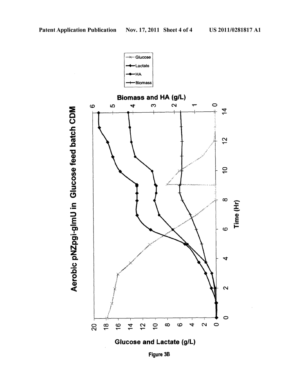 PRODUCTION OF HYALURONIC ACID - diagram, schematic, and image 05