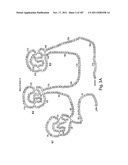 APTAMERS TO TISSUE FACTOR PATHWAY INHIBITOR AND THEIR USE AS BLEEDING     DISORDER THERAPEUTICS diagram and image