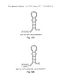 APTAMERS TO TISSUE FACTOR PATHWAY INHIBITOR AND THEIR USE AS BLEEDING     DISORDER THERAPEUTICS diagram and image