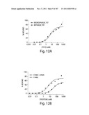 APTAMERS TO TISSUE FACTOR PATHWAY INHIBITOR AND THEIR USE AS BLEEDING     DISORDER THERAPEUTICS diagram and image