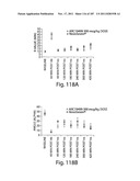 APTAMERS TO TISSUE FACTOR PATHWAY INHIBITOR AND THEIR USE AS BLEEDING     DISORDER THERAPEUTICS diagram and image