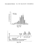 APTAMERS TO TISSUE FACTOR PATHWAY INHIBITOR AND THEIR USE AS BLEEDING     DISORDER THERAPEUTICS diagram and image