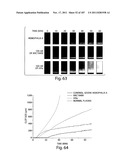 APTAMERS TO TISSUE FACTOR PATHWAY INHIBITOR AND THEIR USE AS BLEEDING     DISORDER THERAPEUTICS diagram and image