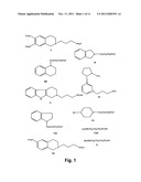 Compositions and methods for treating amyloidosis diagram and image