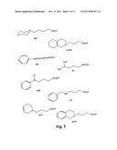 Compositions and methods for treating amyloidosis diagram and image