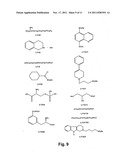 Compositions and methods for treating amyloidosis diagram and image