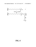 SUPER-LOW FOULING SULFOBETAINE MATERIALS AND RELATED METHODS diagram and image