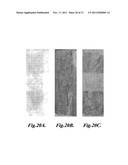 SUPER-LOW FOULING SULFOBETAINE MATERIALS AND RELATED METHODS diagram and image