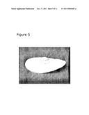 Cross-Linking Involving a Polymeric Carbohydrate Material diagram and image