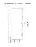 SYNTHESIS OF CARBAMOYLPYRIDONE HIV INTEGRASE INHIBITORS AND INTERMEDIATES diagram and image